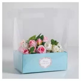 Коробка-переноска Present For You, 26,5 х 30 х 18,5 см