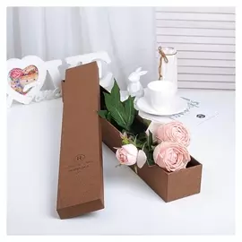 Коробка подарочная 60 х 9 х 7 см