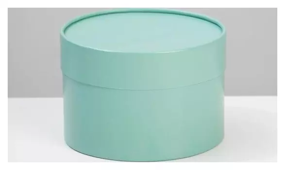 Коробка подарочная «Мята», 13 х 9 см