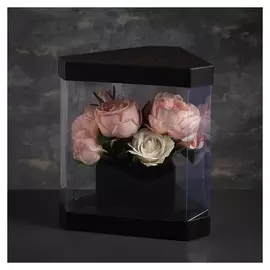 Коробка подарочная прозрачная с черным 22,5 х 22,5 х 27 см