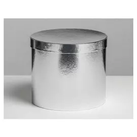 Коробка подарочная «Серебро», 16x14 см