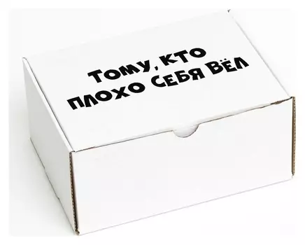 Коробка самосборная "Тому кто плохо себя вел", 22 х 16,5 х 10 см