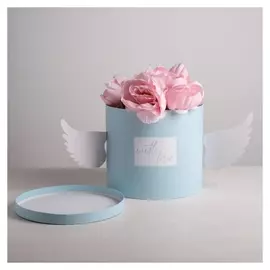 Коробка шляпная для цветов с доп. элементом «Крылья любви», 22 × 22 см