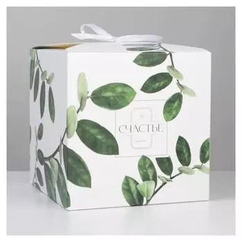 Коробка складная «Green», 18 × 18 × 18 см
