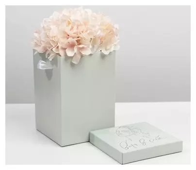 Коробка складная «Мечтай», 17 х 25 см