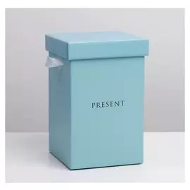 Коробка складная «Present», 14 х 23 см