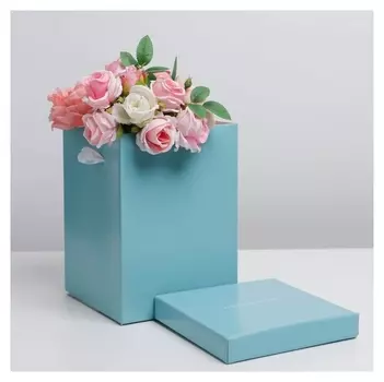 Коробка складная «Present», 17 х 25 см