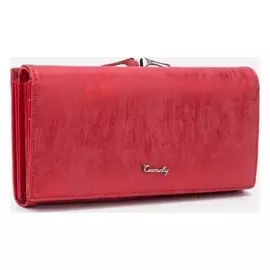 Кошелек женский, 4 отдела на магнитах, цвет красный