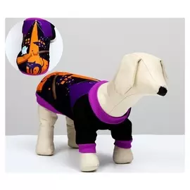 Костюм для хэллоуина "Шабаш", L (ДС 30, ОГ 42 см)