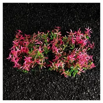 Коврик растений для аквариума, 23 х 12 х 5 см, розово-зелёное