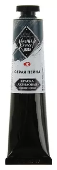 Краска акриловая художественная «Мастер-класс», 46 мл, серая пейна, в тубе