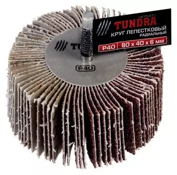 Круг лепестковый радиальный Tundra, 80 х 40 х 6 мм, Р40