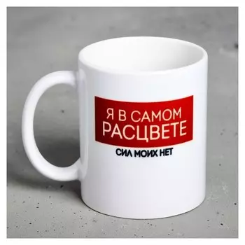 Кружка «Я в самом расцвете…», 300 мл