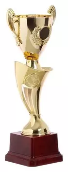 Кубок спортивный 097с