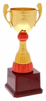 Кубок спортивный 104