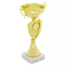 Кубок спортивный 108