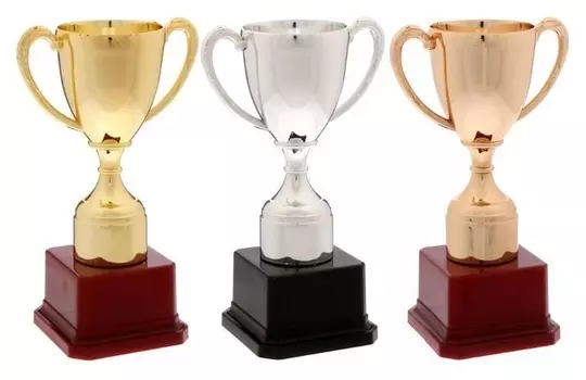 Кубок спортивный 113 цвет бронза