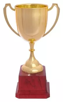 Кубок спортивный 116