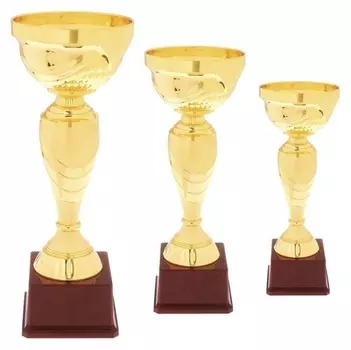 Кубок спортивный 120с