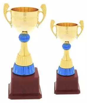 Кубок спортивный 125c