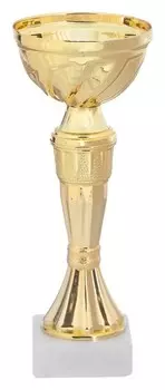 Кубок спортивный 162