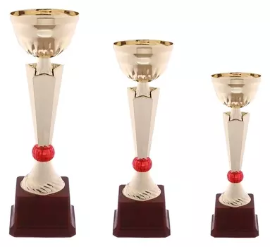 Кубок спортивный 174а