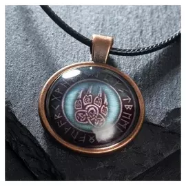 Кулон-амулет "Медвежья лапа" на шнурке, цвет бронзовый