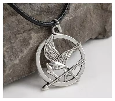 Кулон на шнурке "Сойка", цвет чернёное серебро, 40см