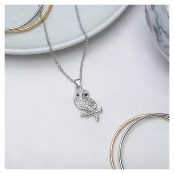 Кулон "Сова", цвет серебро, 40см