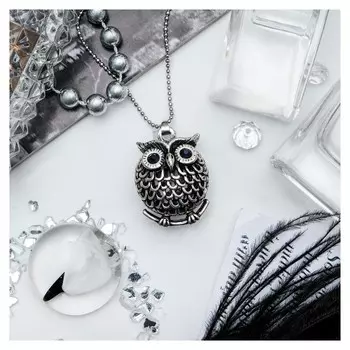 Кулон "Сова круглая" аrt, цвет серебро черненое, 60 см