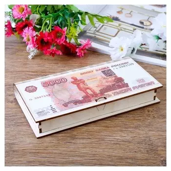 Купюрница "5000" цветная, 17*9,5*2 см