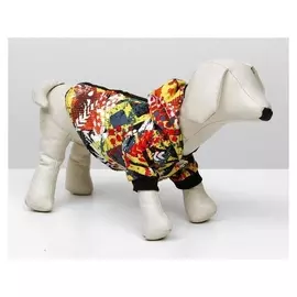 Куртка с капюшоном на меховом подкладе, S (Дс-20 см, ош-26 см, ог-32 см)