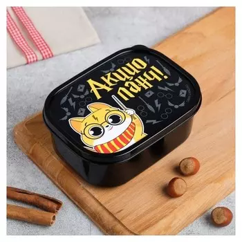 Ланч-бокс «Акцио ланч», 0.5 л