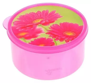 Ланч-бокс «Цветы», 0.5 л