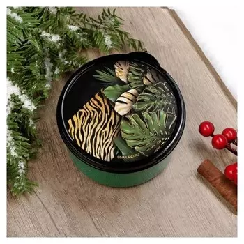 Ланч-бокс «Джунгли», 300 мл