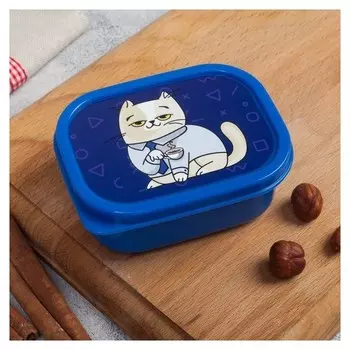 Ланч-бокс «Кот», 150 мл