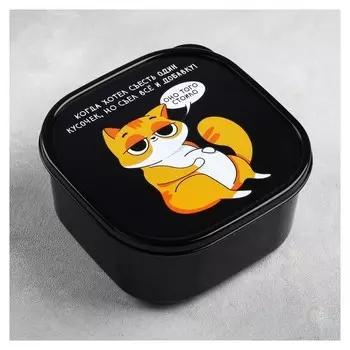 Ланч-бокс «Кот», 700 мл