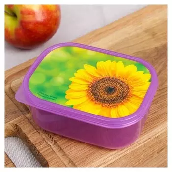 Ланч-бокс «Подсолнух», 500 мл