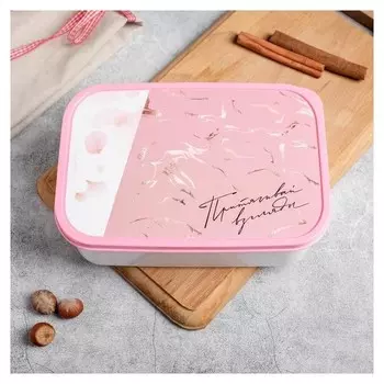 Ланч бокс "Притягивай",1,2 л