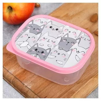 Ланч-бокс прямоугольный "Котики", 500 мл