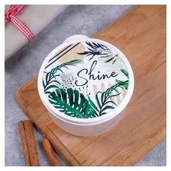Ланч-бокс «Shine», 500 мл