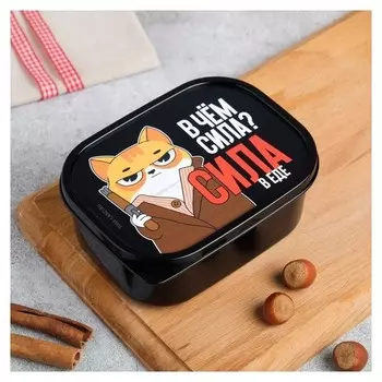 Ланч-бокс «В чём сила?», 0.5 л