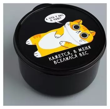 Ланч-бокс «В меня вселился вес», 500 мл