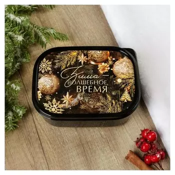 Ланч-бокс «Зима волшебное время», 500 мл