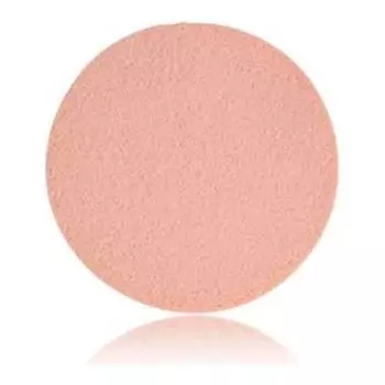 Латексные спонжи (Количество 1 шт)