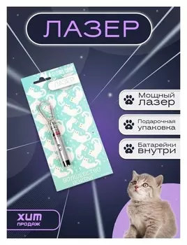 Лазер «Волшебство вокруг», серебро