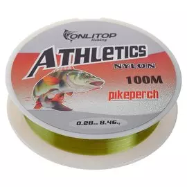 Леска Pike Perch, D=0,28 мм, 100 м