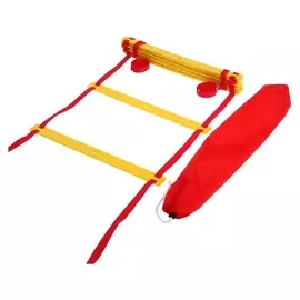 Лестница координационная, 12 ступеней, 51х540 см