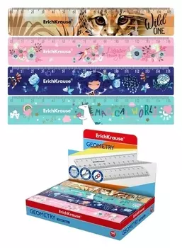 Линейка 15 см Erichkrause, пластик, из 5 дизайнов, в коробке-дисплее (Girl)