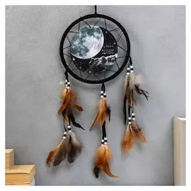 Ловец снов "Луна - мечтай, вселенная на стороне мечтателей" D=20 см